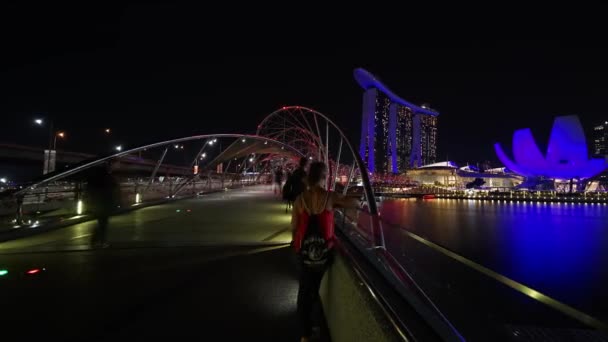 Singapore November 2017 Wunderschöne Landschaft Der Marina Bay Sande Singapore — Stockvideo