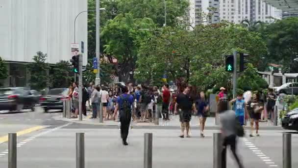 Сингапур Ноября 2017 Года Остановите Движение Толпы Людей Пересекающих Орчард — стоковое видео