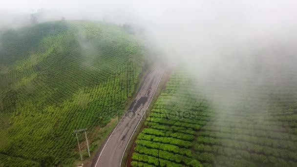 Belas Imagens Aéreas Manhã Enevoada Plantação Chá Bandung Regência West — Vídeo de Stock