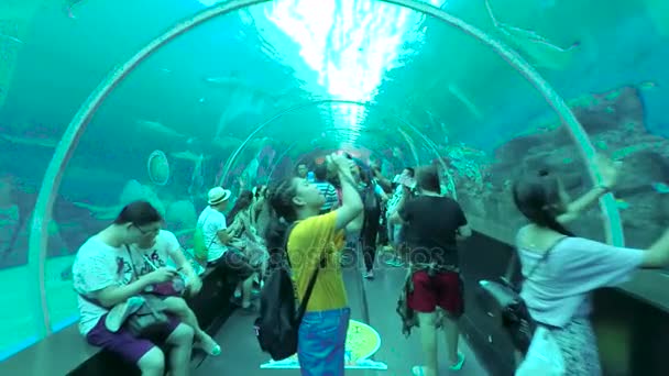 Singapura Dezembro 2017 Filmagem Vídeo Turistas Lotados Tirando Fotos Enquanto — Vídeo de Stock