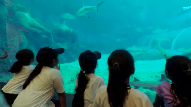 Singapore December 2017 Video Beelden Van Een Groep Kinderen Kijken — Stockvideo