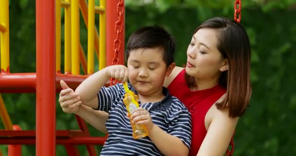 Счастливый Маленький Мальчик Мать Наслаждаются Отдыхом Вместе Играя Мыльные Пузыри — стоковое видео