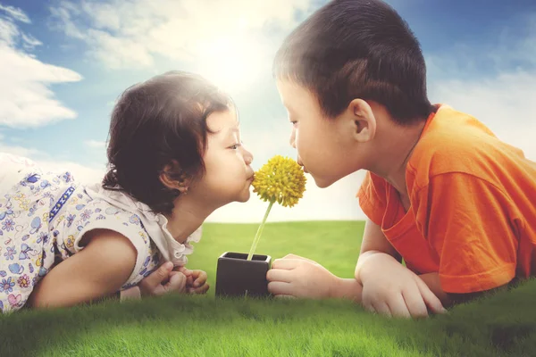 Fratelli che baciano fiore sul prato . — Foto Stock