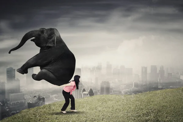 Unternehmerin Müht Sich Einen Elefanten Heben Während Sie Mit Modernem — Stockfoto