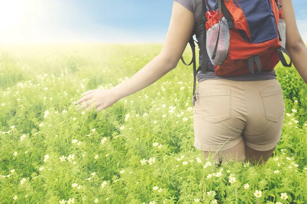 Anonymous female hiker walking in the flower field — Stock Photo, Image