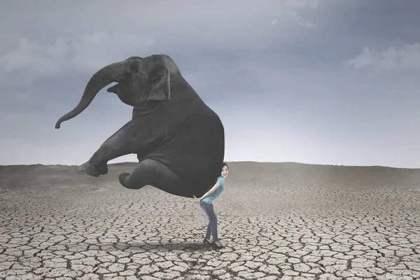 Jovem com elefante em solo seco — Fotografia de Stock