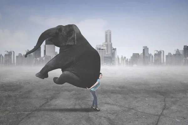 Young woman carrying an elephant — Stock Photo, Image