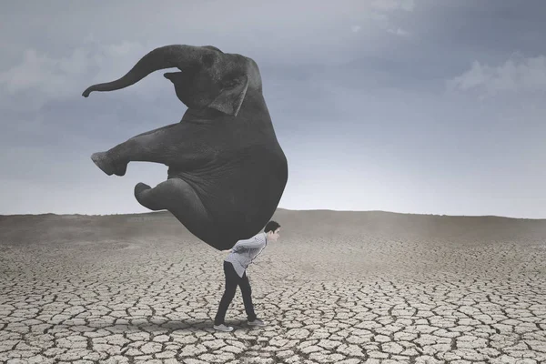 Молодой бизнесмен со слоном на сухой земле — стоковое фото
