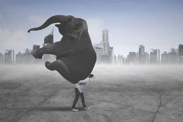 Young businessman carrying an elephant — Stock Photo, Image