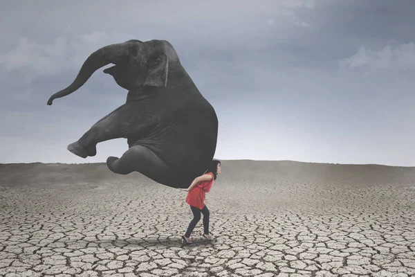 Жінка-підприємець зі слоном на сухому ґрунті — стокове фото