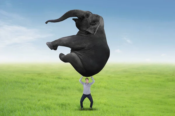 Asya işadamı bir fil kaldırma — Stok fotoğraf