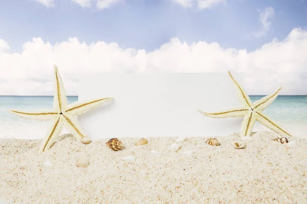 Två starfishes med en tom banner — Stockfoto