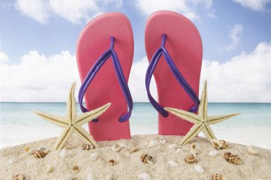 Flip flop ve tropikal Plajı'nda starfishes