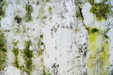 Kirli eski bir evin duvarına