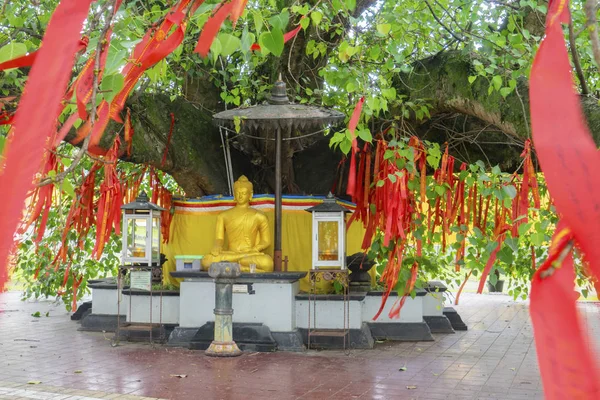 Gyllene buddhastaty under Bodhi träd — Stockfoto