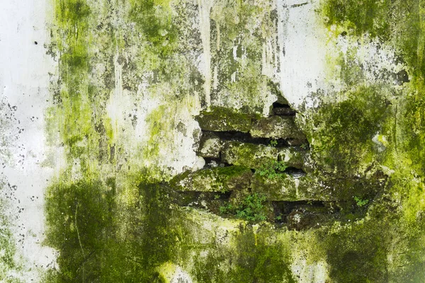 Gebarsten muur van een oud huis — Stockfoto