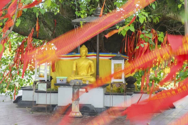 Bodhi trädet med gyllene Buddha skulptur — Stockfoto