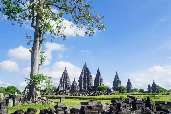 Güzel Prambanan tapınak kompleksi — Stok fotoğraf