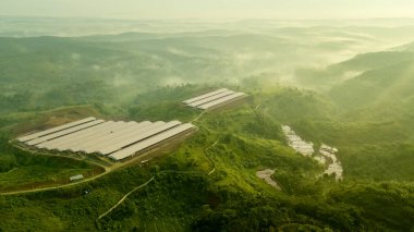 Görünüm palmiye Ekim Fabrika binaları
