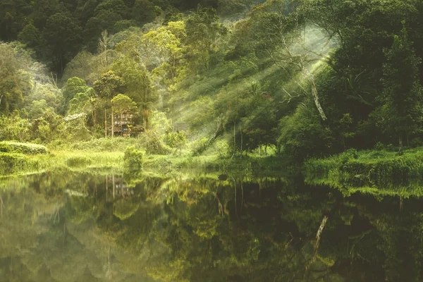 Belle vue sur le lac forestier le matin brumeux — Photo