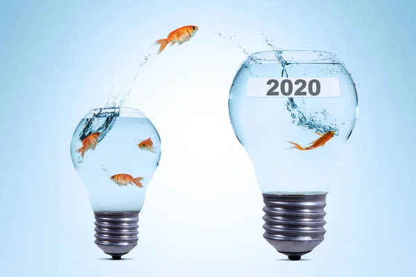 Goldfish jumping to a light bulb with number 2020 — Stock Photo, Image