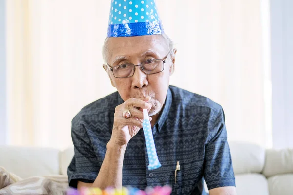 Grandfather wearing party hat and blowing horn