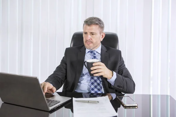 Bello uomo d'affari caucasico che lavora su laptop — Foto Stock