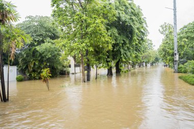 Yoldan geçen vatandaşlarla dolu bir ev.