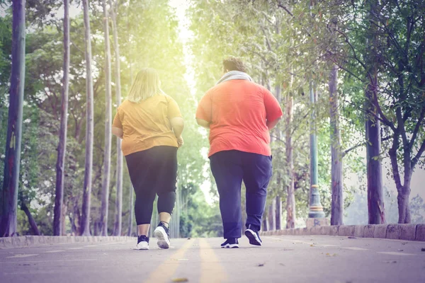 Unidentified fat couple jogging on the park road — 스톡 사진