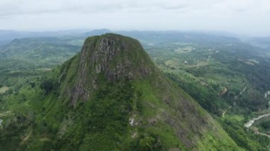 tropical hill with green bush on a valley
