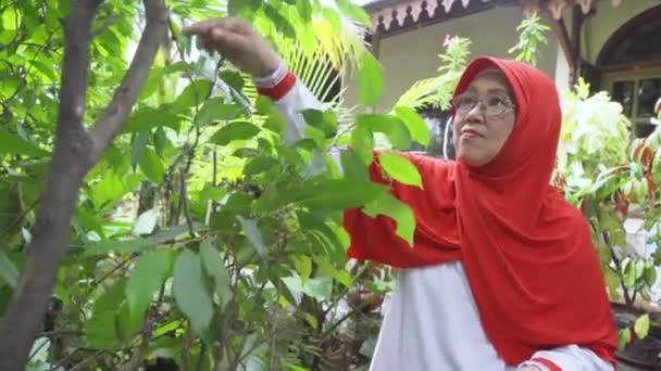 Зріла Мусульманка Доглядає Рослинами Саду Відео — стокове відео