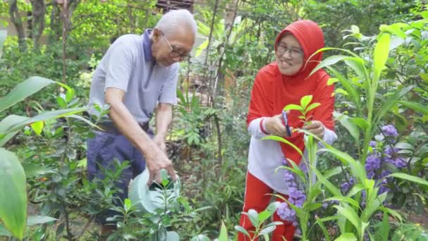 Szczęśliwy Senior Para Ogrodnictwo Razem Podwórku Wideo — Wideo stockowe