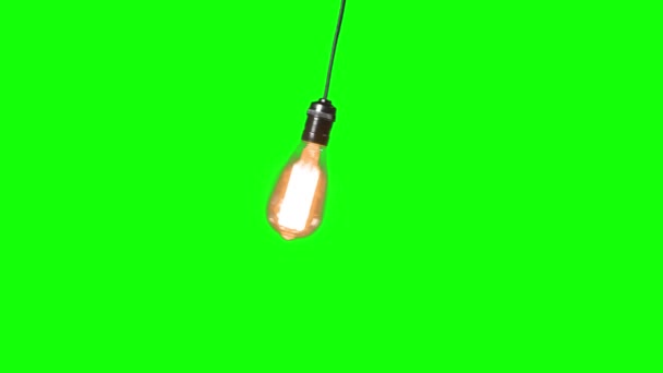Helle Glühbirne Mit Grünem Hintergrund — Stockvideo