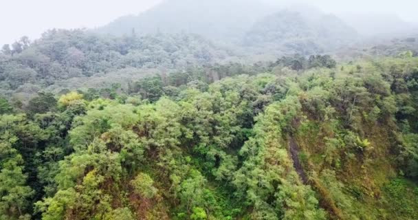 Hermoso Paisaje Exuberante Colinas Tropicales Por Mañana — Vídeo de stock