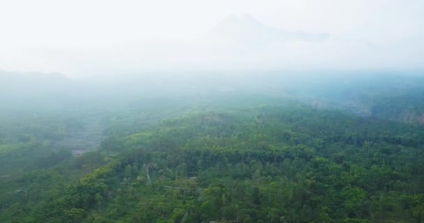 Prachtige Weelderige Tropische Heuvels Landschap Ochtend — Stockvideo