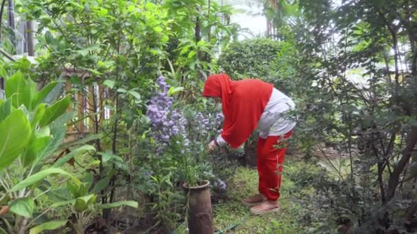 成熟的穆斯林妇女在花园里切干叶 — 图库视频影像