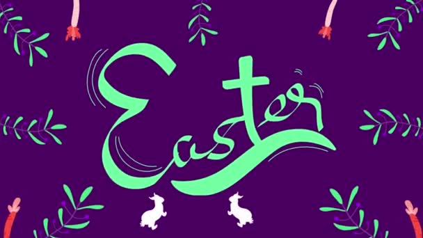 Conejos Pascua Animados Sobre Fondo Púrpura — Vídeo de stock
