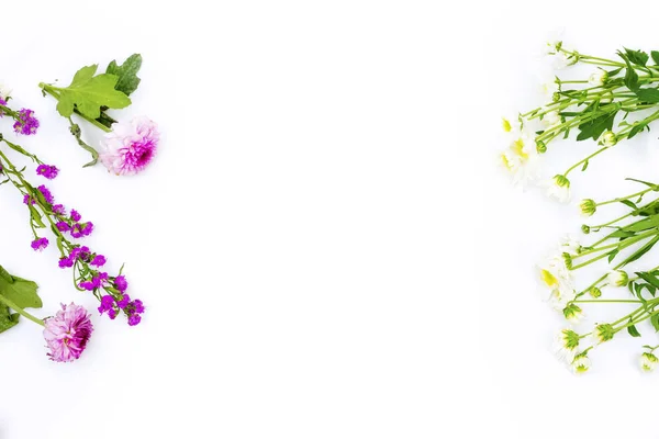 Platte lay-out van dahlia en jasmijnbloemen in het wit — Stockfoto