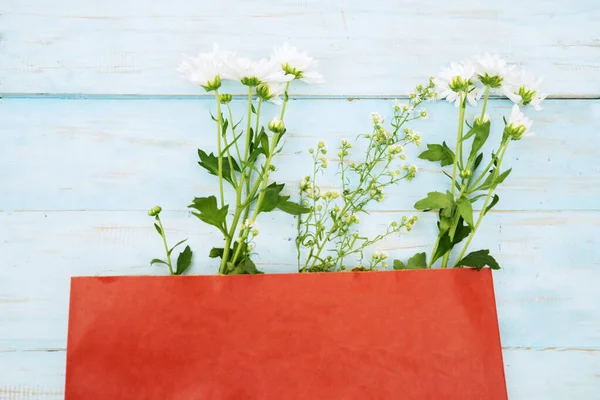 Квіти жасмину в червоному картоні на синьому столі — стокове фото