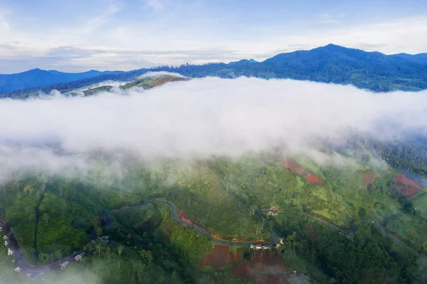 インドネシア 西ジャワ州バンドンのパンガレンガンで霧の朝に茶畑の上の霧の美しい空中風景 — ストック写真