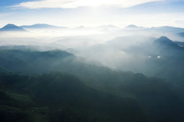 茶畑と霧による日の出の空中風景 — ストック写真