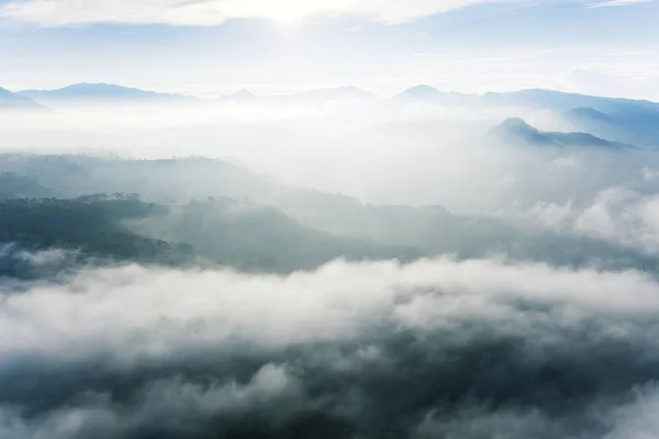 Luchtfoto van witte mist boven theeplantage — Stockfoto
