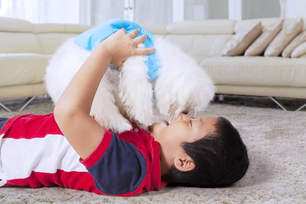 Ritratto Adorabile Ragazzo Asiatico Che Sfrega Naso Con Suo Simpatico — Foto Stock