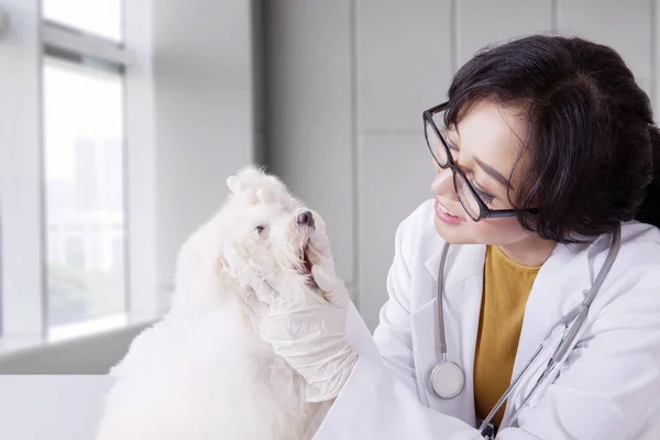 Portrét Krásné Asijské Ženy Bílém Laboratorním Plášti Při Zkoumání Úst — Stock fotografie