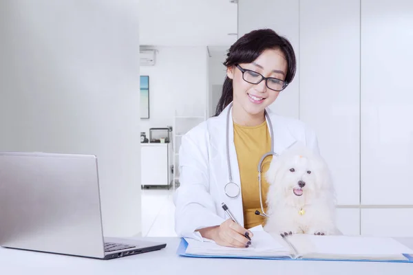 Retrato Hermosa Veterinaria Asiática Escribiendo Algunos Documentos Felizmente Mientras Lindo —  Fotos de Stock