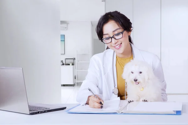 美丽的亚洲兽医高兴地写下了一些文件 而她可爱的白色博洛尼亚犬在她的诊所旁听着 — 图库照片