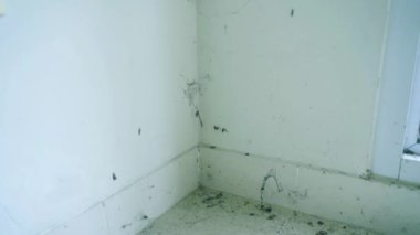 Kirli zemin köşesindeki örümcek ağlarını kapatın.