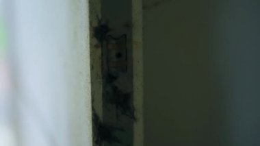 Terk edilmiş evde paslı kapı kilidi.