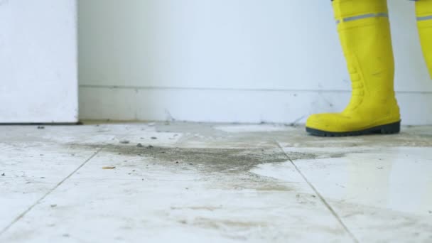 管家清扫尘土飞扬的地板 — 图库视频影像