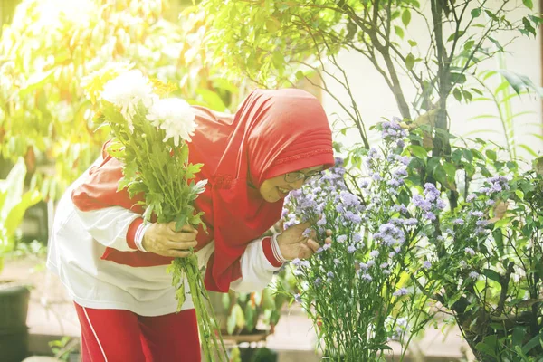 魅力的なシニアイスラム教徒女性接吻花でザ裏庭 — ストック写真